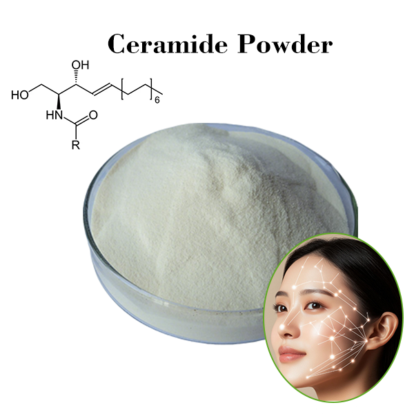 Ceramide Powder